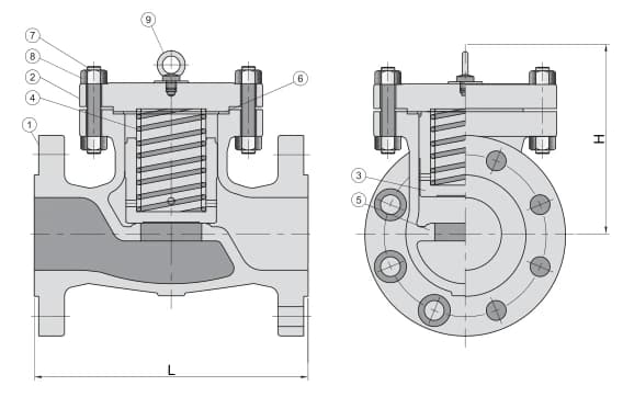 BMT lift check valves